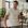 Bege