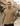 Bege