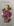 modelo_02