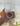 Transparente