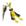 Amarelo