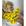 Amarelo sol