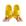 618amarelo