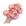 1638 rosa