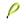 Verde fluorescente