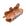 foca