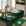 PALMEIRAS