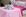 Borboletas Pink