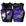 Citrus purple