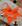 Laranja neon