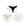 Conjunto 10