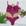 Fuscia