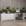 Branco