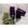 Roxo Berinjela