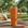 Laranja