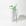 Branco com Verde