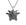 Dourado