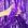 Roxo
