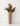 vaso bege + pluma marrom
