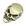 Bronze, L