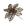 Champanhe