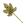 OURO