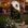 MARROM MATTE