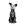 Cachorro