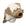 Cachorro branco