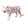 Animal, 10