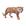 Animal, 1