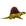 Dimetrodon