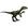 Farlowichnus
