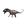 Dinossauro, 1