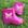 Galoca pink, Borboleta