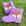Galocha lilas, Rosto raposa