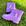 Galocha lilas, Fada