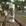 Botafogo Branco Colagem