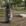 Botafogo Preto Colagem