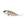Astro minnow