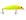 Acc3524 fang chartreuse