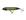 Cor, 01
