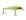Chartreuse back ghost ayu