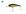 Cor, 003