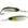 Colher cor 300