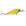 Dancer 50 cor 240uv