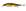Cor 3145 gg megabass kinkuro
