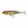Glassy gill uv