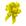Amarelo cetim