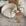 Carvalho Hanover/Carvalho Hanover